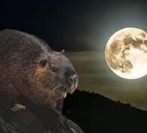 BRILLARÁ EL CIELO EL 15 DE NOVIEMBRE CON LA LUNA DE CASTOR