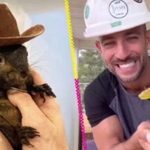 ADOPCIÓN Y PÉRDIDA: EL TRÁGICO DESTINO DE LA ARDILLA PEANUT