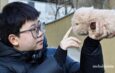 JÓVENES EN CHINA ENCUENTRAN COMPAÑÍA EN MASCOTAS CON IA