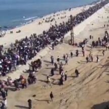 PALESTINOS VUELVEN A CASA TRAS MÁS DE UN AÑO DE DESPLAZAMIENTO