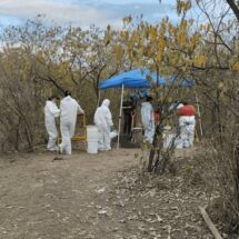 DESCUBREN FOSAS CLANDESTINAS EN SAN LUIS POTOSÍ: CRIMINALES DISOLVÍAN CUERPOS EN ÁCIDO