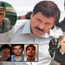 DESIGNA EU A SEIS CÁRTELES MEXICANOS COMO ORGANIZACIONES TERRORISTAS