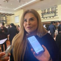 ERIKA ICELA CASTILLO, LA CANDIDATA MÁS FUERTE PARA PRESIDIR EL PODER JUDICIAL DEL EDOMEX