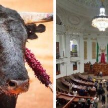 CDMX DICE ADIÓS A LAS CORRIDAS DE TOROS CON VIOLENCIA