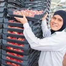 GRUPO BIMBO: ORGULLO MEXICANO EN EL RANKING DE LAS EMPRESAS MÁS ÉTICAS DEL MUNDO 2025