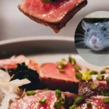 CIERRAN MILES DE RESTAURANTES EN JAPÓN TRAS HALLAR RATA EN LA COMIDA