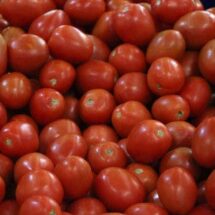 EU IMPONE ARANCEL DEL 20.91% AL TOMATE MEXICANO A PARTIR DE JULIO
