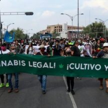 CDMX CELEBRA EL 4/20 CON ACTIVISMO Y CULTURA