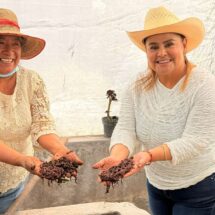 INICIA LA CAMPAÑA DE ERIKA CASTILLO RUMBO A LA PRESIDENCIA DEL PODER JUDICIAL DEL ESTADO DE MÉXICO