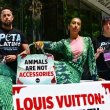 ACTIVISTA DE PETA SE DISFRAZA DE SERPIENTE PARA PROTESTAR FRENTE A LOUIS VUITTON