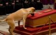 EL PERRO DEL PAPA FRANCISCO: UNA HISTORIA VIRAL SIN BASE REAL
