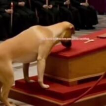 EL PERRO DEL PAPA FRANCISCO: UNA HISTORIA VIRAL SIN BASE REAL