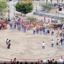 INVESTIGAN CASO DE CRUELDAD ANIMAL EN RODEO DE XICHÚ, EN GUANAJUATO