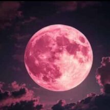 PREPÁRATE PARA LA LUNA DE FRESA MÁS BAJA EN CASI 20 AÑOS