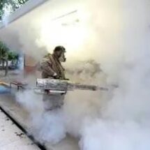 ALERTA POR DENGUE: MÉXICO SUPERA LOS 3,800 CASOS EN 2025
