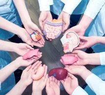 EN IRLANDA TODAS LAS PERSONAS SERÁN DONANTES DE ÓRGANOS