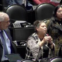 DIPUTADA USA CHATGPT PARA VOTAR LEYES; “ACTUALÍCENSE, IGNORANTES”