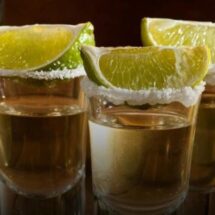 CELEBRA EL PATRIMONIO AGAVERO DE JALISCO 19 AÑOS DEL DÍA MUNDIAL DEL TEQUILA