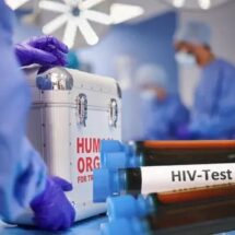 FIN A UN ESTIGMA: ESPAÑA AUTORIZA TRASPLANTES ENTRE SEROPOSITIVOS