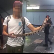 DETIENEN A JOVEN CON SERPIENTE EN ESTACIÓN POTRERO DEL METRO CDMX