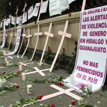 OCNF Y RED TDT EXIGEN A SHEINBAUM REFORZAR ALERTAS DE VIOLENCIA DE GÉNERO