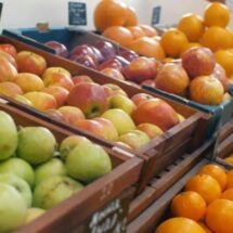 ALIMENTOS ACAPARAN EL GASTO CON CASI EL 38% EN HOGARES