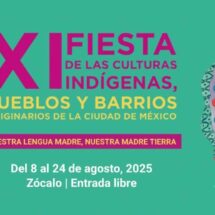XI Fiesta de las Culturas Indígenas, Pueblos y Barrios Originarios
