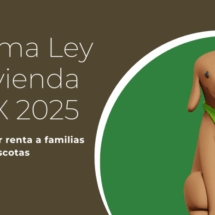 Reforma protege a familias con hijos y mascotas en el mercado de renta; Safe Proptech celebra decisión