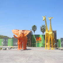 PROFEPA traslada a la osa “Mina” de Nuevo León a Hidalgo