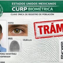 ¿Qué trámites NO podrás hacer en 2026 sin tu CURP biométrica? ¡Evita problemas desde febrero!