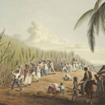 Asamblea General de la ONU declara trata de esclavos africanos como crimen más grave contra la humanidad