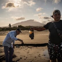 Derrame de crudo paraliza la pesca en Veracruz mientras Durango celebra el regreso del lobo mexicano