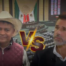 Polémica por regreso de Sergio Mayer a Cámara de Diputados