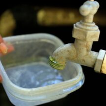 Conmemora México el Día Mundial del Agua con acciones de equidad, limpieza costera y tecnificación de riego