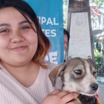 Agenda local en La Laguna abarca desde denuncia por aguas negras hasta adopción de perros y límites de velocidad