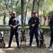 Despliega gobierno federal y estatal operativos de seguridad y empleo para el Mundial 2026