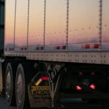 Rescatan 229 migrantes hacinados en tráiler asegurado en Xalapa