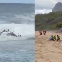 Tres muertos y dos heridos tras caída de helicóptero turístico en Hawái