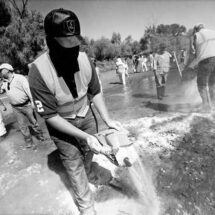 Avanza México en regulación de tóxicos, vacunación y combate a pesca ilegal