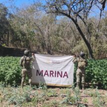 Autoridades federales y estatales ejecutan operativos simultáneos contra el CJNG y narcomenudeo en seis estados