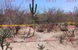 Familiares de desaparecido bloquean aeropuerto de Los Cabos tras hallazgo de fosas en BCS