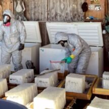 Imputan en EE.UU. a cinco mexicanos por operar narcolaboratorio de metanfetamina en California