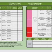 Salud Pública en México: Avances en vacunación, estudio de obesidad infantil y programa de implantes cocleares