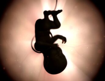 Avances en neurotecnología y hallazgos sobre cannabis medicinal destacan en ciencia