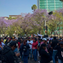CNTE realiza paro nacional y marcha en Ciudad de México por reformas al sistema de pensiones
