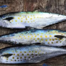 Profeco informa precios y beneficios del pescado sierra para Cuaresma 2026