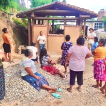 Iniciativas ciudadanas y sanciones ambientales marcan la agenda ecológica en México