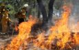 México acumula 2,332 incendios forestales en 2026