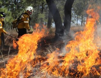 México acumula 2,332 incendios forestales en 2026