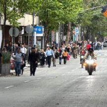 Activistas bloquean Reforma e Insurgentes exigiendo devolución de más de 800 animales del Refugio Franciscano